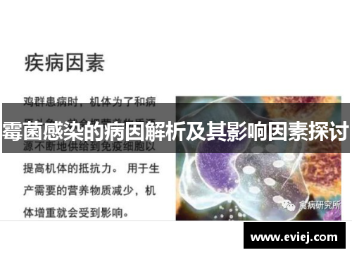 霉菌感染的病因解析及其影响因素探讨